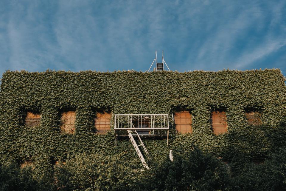 The old house