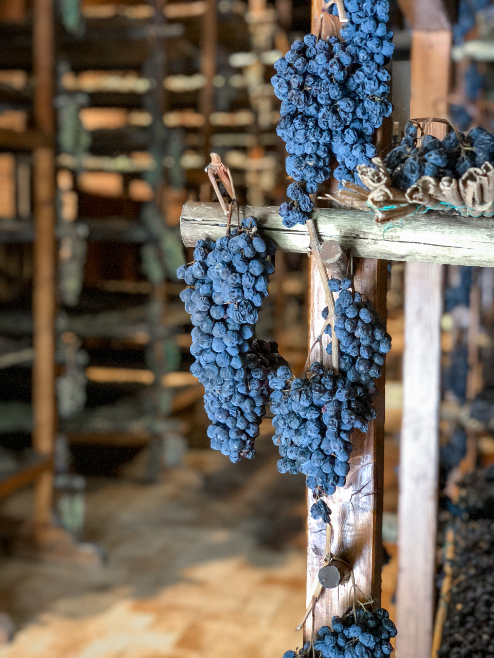 Sun-dried grapes